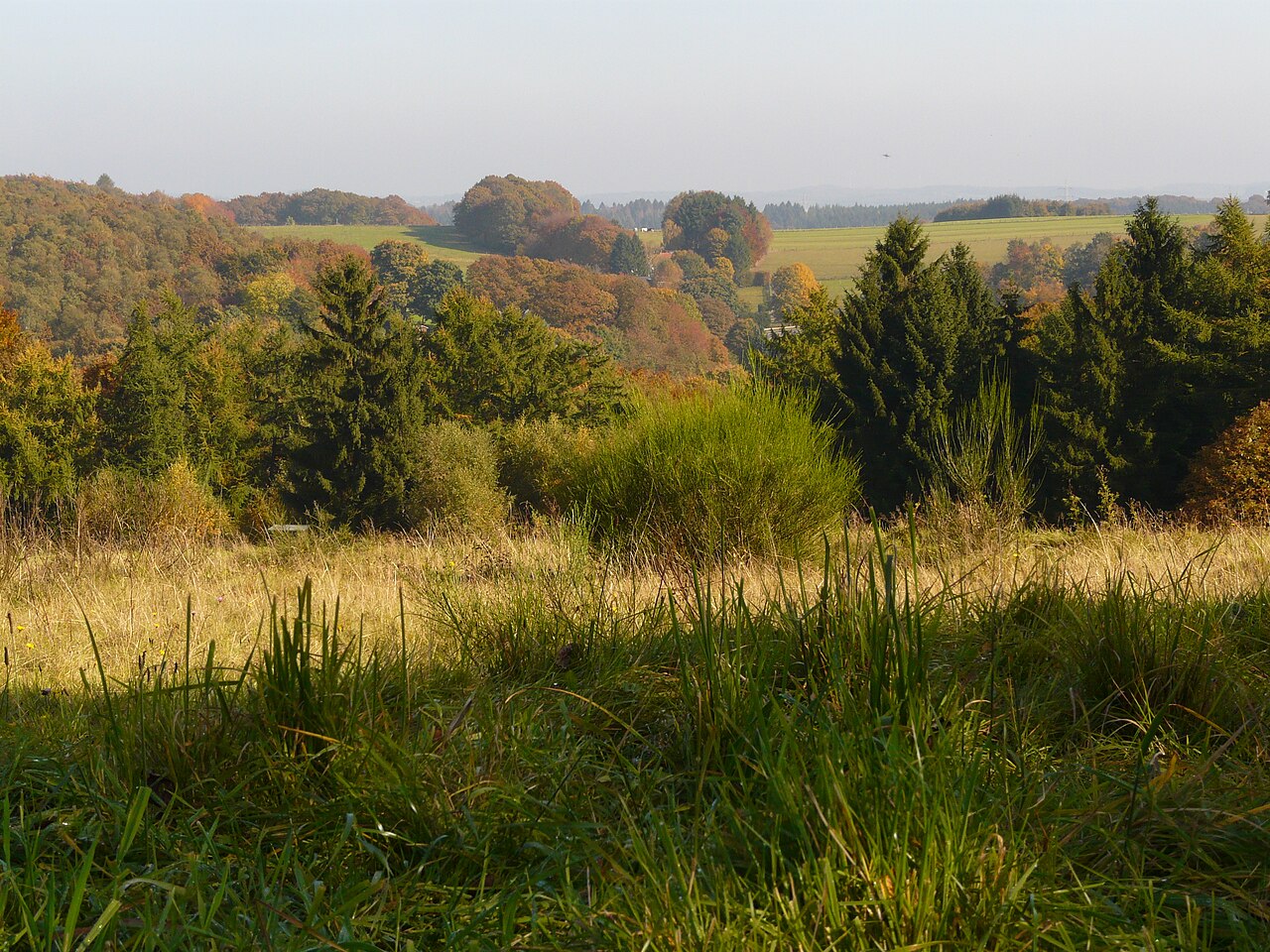 Herbstliche Hügellandschaft im Bergischen Land