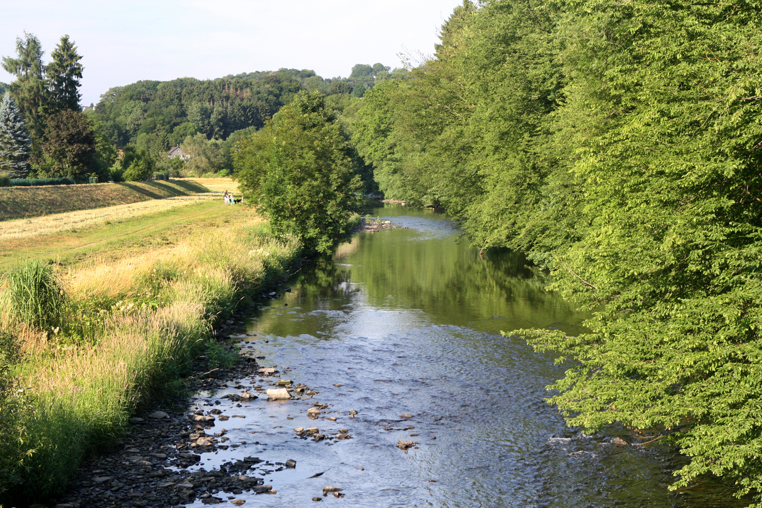 Grüne Ufer an der Agger in Overath